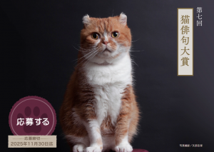 猫俳句７