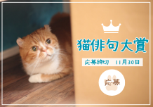 nekohaikuバナー