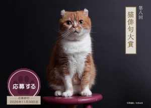第八猫俳句大賞 作品募集開始のお知らせ